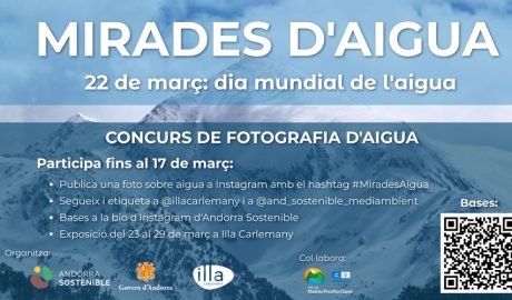 Cartell anunciador del concurs