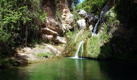 Bassa del Niu de l'Àliga