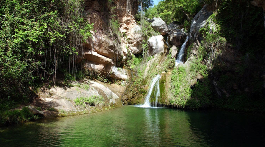 Bassa del Niu de l'Àliga