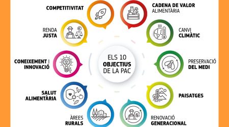 L’import total d’aquests pagaments ascendeix a 5.888.006 euros per a 2.837 persones beneficiàries