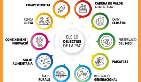 L’import total d’aquests pagaments ascendeix a 5.888.006 euros per a 2.837 persones beneficiàries