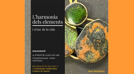 Cartell anunciant l'exposició d'Ana Antolínez a l'Institucional