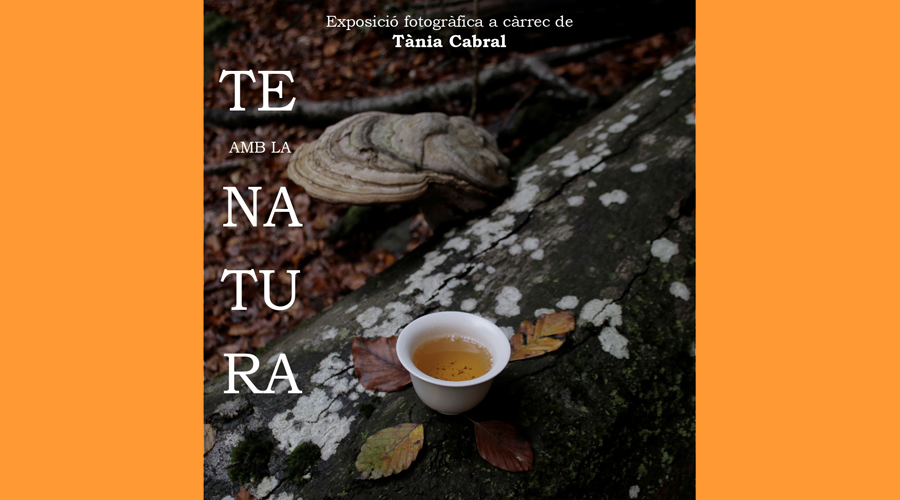 Cartell anunciant l'exposició de Tània Cabral a l'Institucional (la Xarranca)