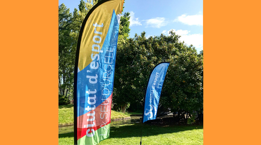 Les noves bases per a les subvencions esportives han estat aprovades en el ple d'aquest dilluns (Aj. la Seu)