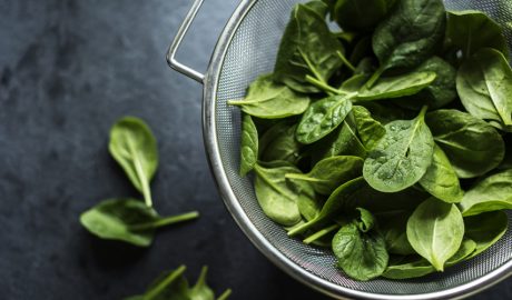 Fulles fresques d'espinacs