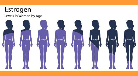 Els estrògens són compostos químics coneguts també com a hormones femenines