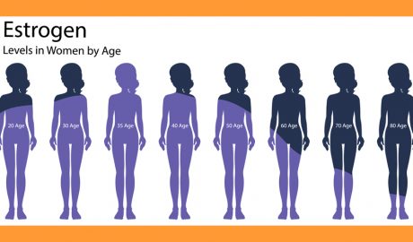 Els estrògens són compostos químics coneguts també com a hormones femenines