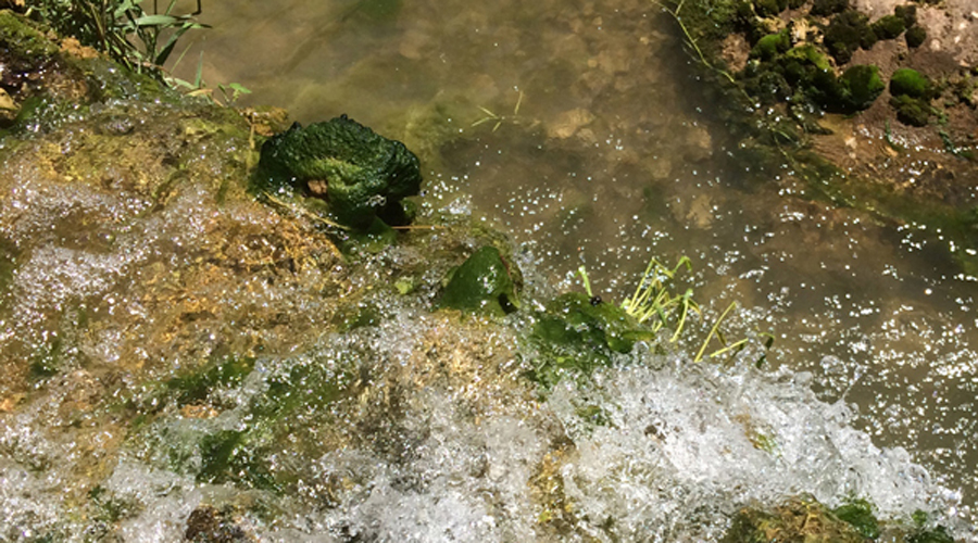 El Penedès té molts paratges naturals i alguns amb l'aigua com a protagonista