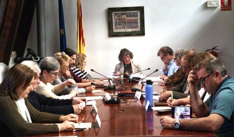 Ple del Consell Comarcal de l'Alt Urgell