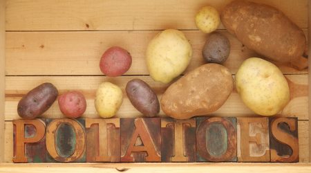 Una varietat de patates