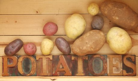 Una varietat de patates