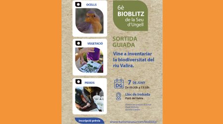 Cartell del BioBlitz 2026