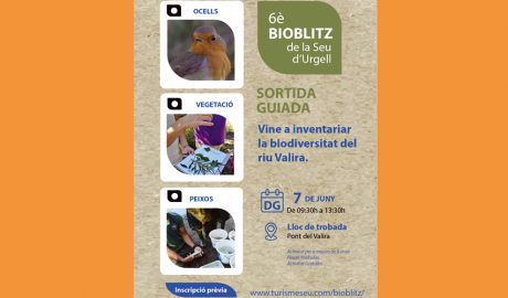 Cartell del BioBlitz 2026