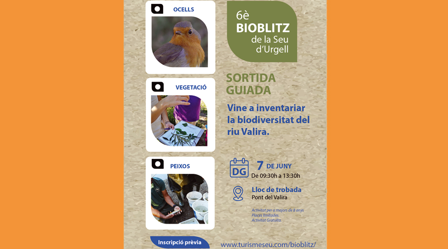 Cartell del BioBlitz 2026