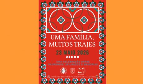 Cartell de l'espectacle "Una Família, molts vestits"