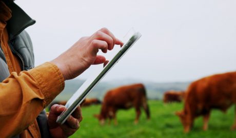 Noves aplicacions en l'àmbit de la tecnologia en benefici dels sectors agroalimentari, forestal i del medi rural
