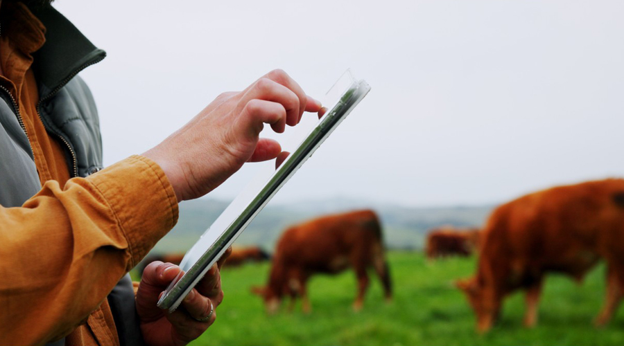 Noves aplicacions en l'àmbit de la tecnologia en benefici dels sectors agroalimentari, forestal i del medi rural