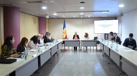 Reunió de la Comissió Nacional de Prevenció de la Violència de Gènere i Domèstica
