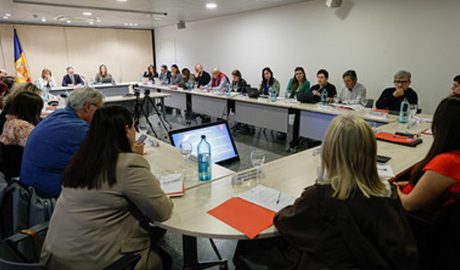 Reunió extraordinària del Consell Nacional de la Discapacitat