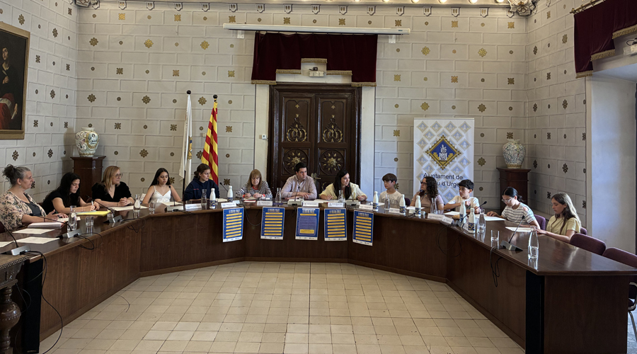 El Consell Municipal d'Infants de la Seu