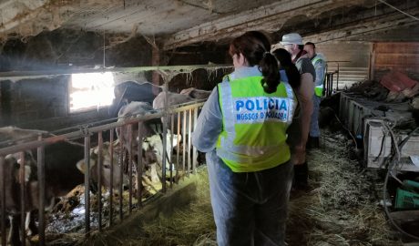 La Policia catalana durant la investigació a l'explotació agrària