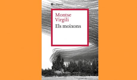 Coberta del llibre "Els moixons", de Montserrat Virgili