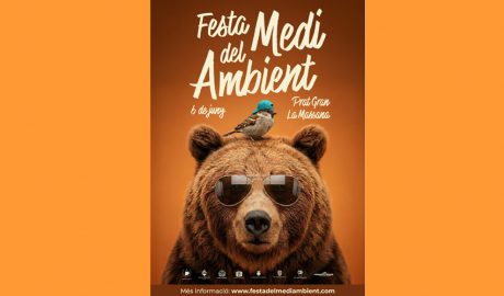 El cartell de la Festa del Medi Ambient
