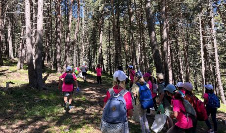 VII Jornada Clean Up Day a La Molina