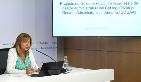 La ministra, Conxita Marsol, durant la seva intervenció davant dels mitjans de comunicació