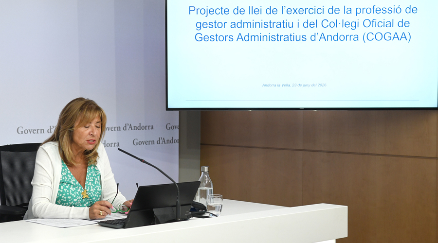 La ministra, Conxita Marsol, durant la seva intervenció davant dels mitjans de comunicació (SFGA)
