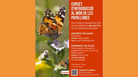 El cartell anunciador del curs