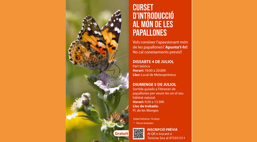 El cartell anunciador del curs