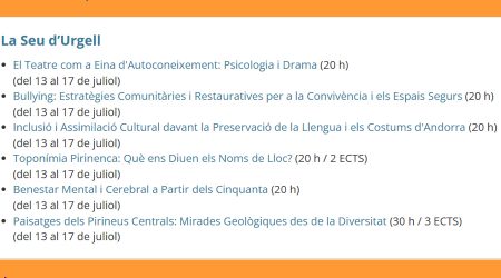 Cursos d'estiu a la Seu d'Urgell