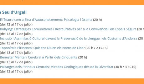 Cursos d'estiu a la Seu d'Urgell