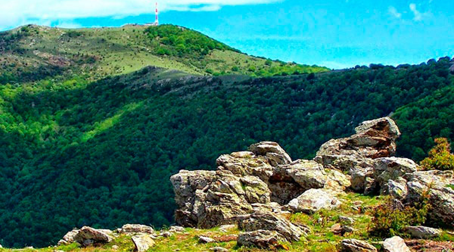 Un paratge natural de l'Empordà