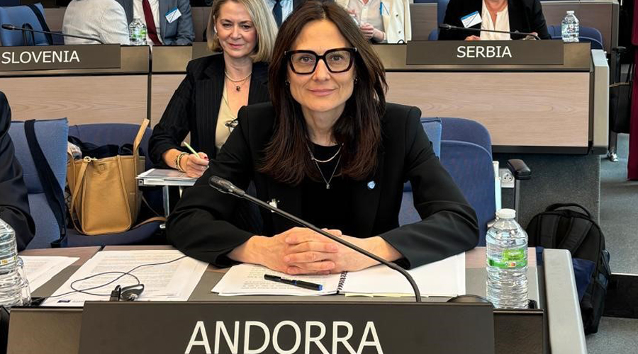 Ester Molné al Consell d'Europa, a Estrasburg