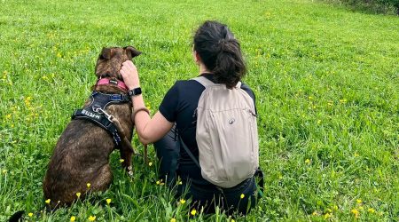 Una voluntària del Centre de Protecció Caní passejant a la Kira