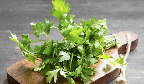 Un manat de julivert