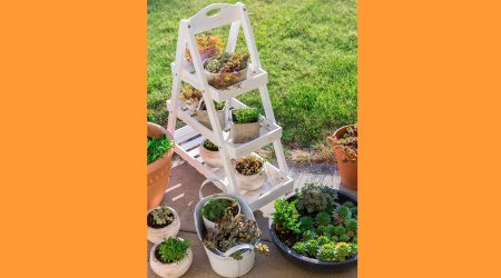 Una prestatgeria per a plantes en un jardí