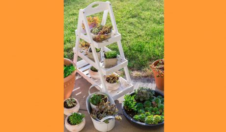 Una prestatgeria per a plantes en un jardí