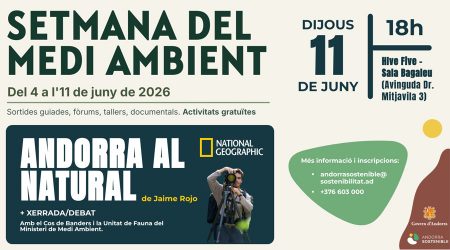 El cartell promocional d'una de les activitats