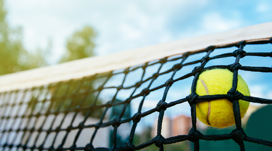 Una xarxa i una pilota de tennis