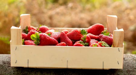 Una caixa de maduixes