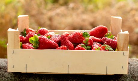 Una caixa de maduixes